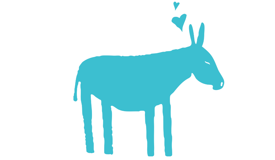 donkey
