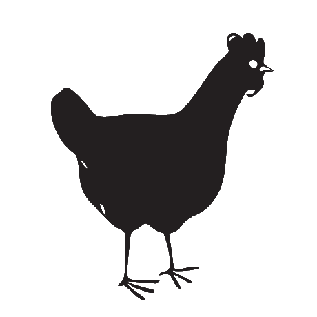 gallina icona